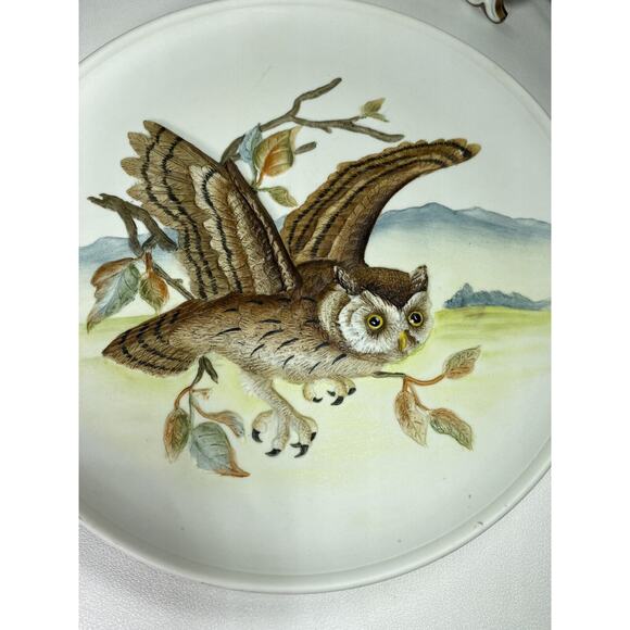 Andrea By Sadek Porcelain Plate Series Birds in Flight 1983 Screech Owl #6637 - Picture 8 of 9